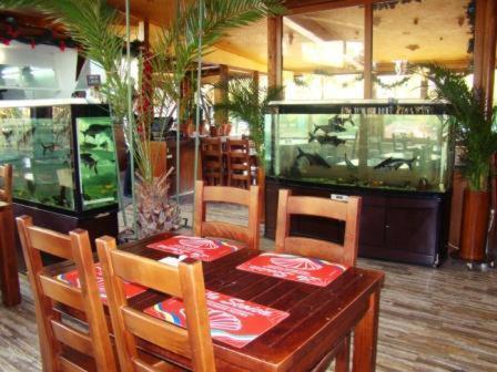 Hotel La Scoica Land Navodari Luaran gambar